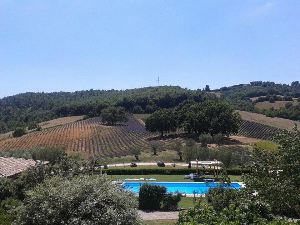 Il Poggio Di Teo Villa Manciano Exterior photo
